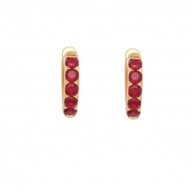 Κρίκοι από την  Excite Fashion Jewellery, στολισμένοι με κόκκινα ζιργκόν από ανοξείδωτο (δεν μαυρίζει) επιχρυσωμένο ατσάλι. E-YH1454A-RED-G-69
