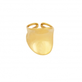 Εντυπωσιακό δαχτυλίδι από την Excite Fashion Jewellery, κοίλο, από ανοξείδωτο επιχρυσωμένο ατσάλι.  R-YH1297-G-75