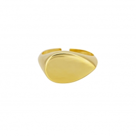 Δαχτυλίδι Excite Fashion Jewellery σε μοντέρνο σχέδιο απο επιχρυσωμένο ασημί 925. D-3-G-10