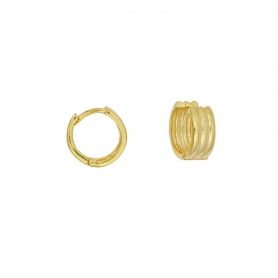 Σκουλαρίκια κρικάκια Excite Fashion Jewellery από επιχρυσωμένο ασήμι 925.  S-88-G-99