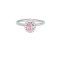 Δαχτυλίδι Excite Fashion Jewellery, ροζέτα, σχέδιο σταγόνα, με ροζ και λευκά ζιργκόν, από επιπλατινωμένο ασήμι 925. D-46-ROZ-S-99